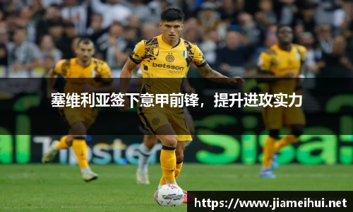 塞维利亚签下意甲前锋，提升进攻实力